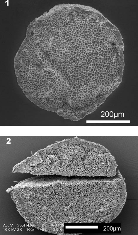 Debate Heats Up Over Meteor's Role in Ice Age